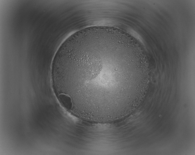 X0000073481087200607311154