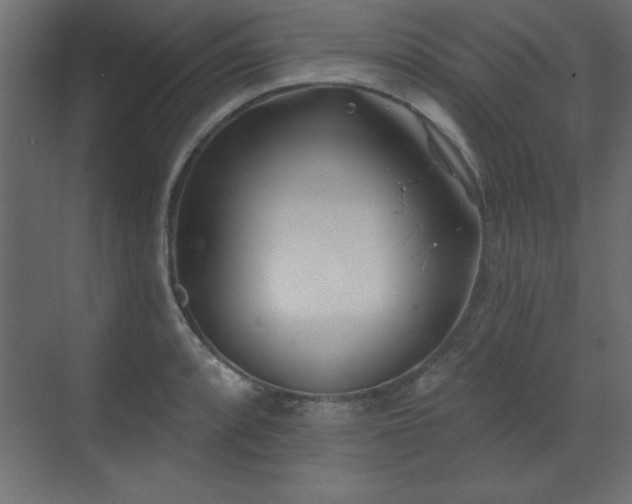 X0000073481088200607311154