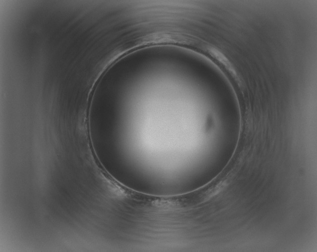 X0000073481089200607311154