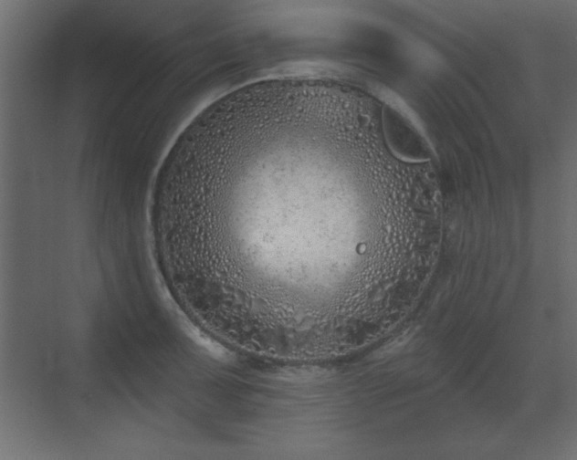 X0000073481091200607311154