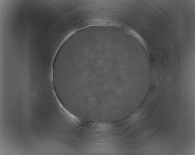 X0000073481095200607311154