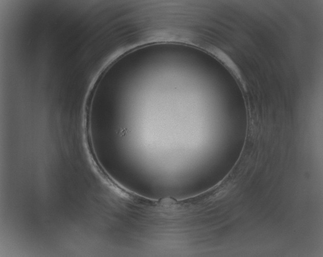 X0000073481096200607311154