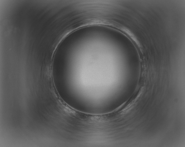 X0000073481097200607311154