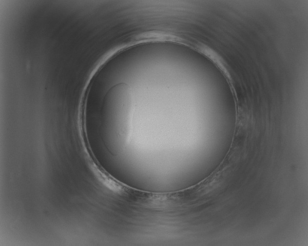 X0000073481098200607311154