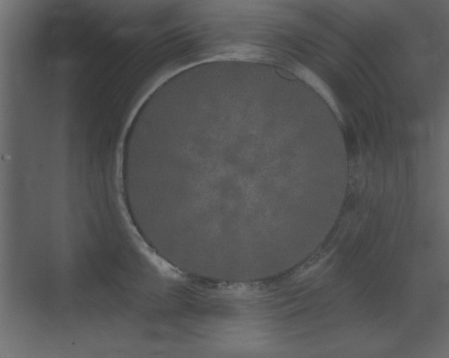 X0000073481099200607311154