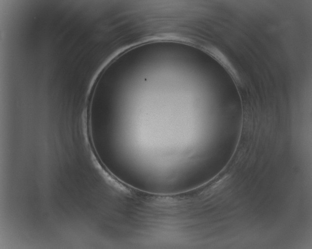 X0000073481100200607311154