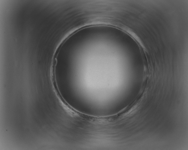 X0000073481101200607311154