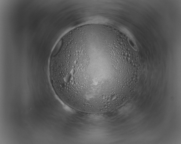 X0000073481103200607311154