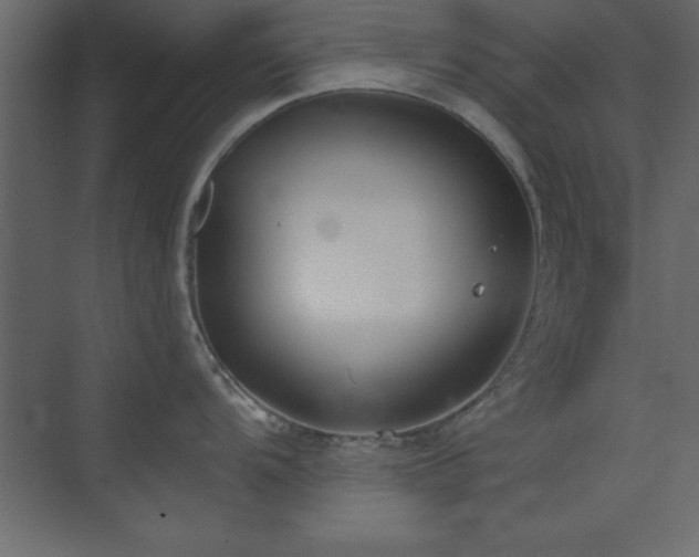 X0000073481104200607311154