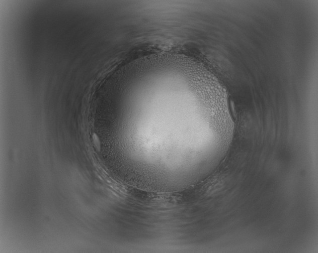 X0000073481105200607311153