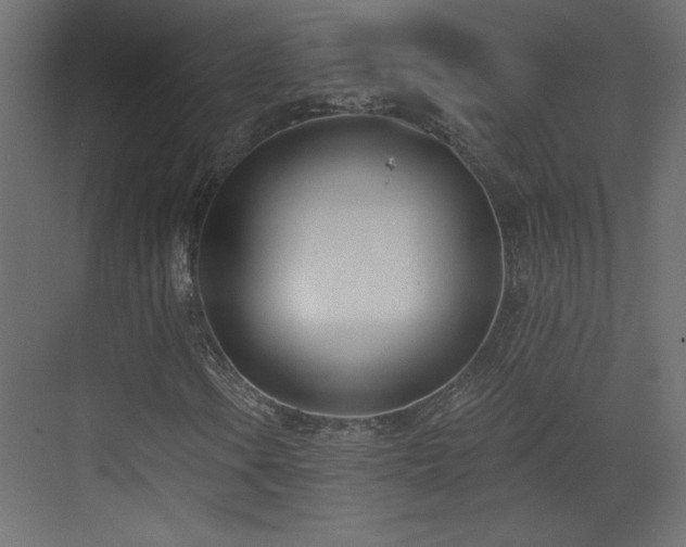 X0000073481106200607311153