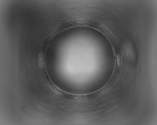 X0000073481107200607311153