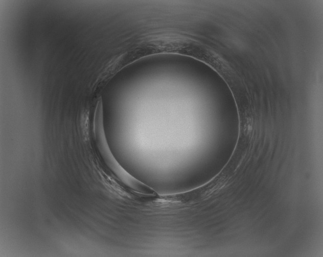 X0000073481108200607311153