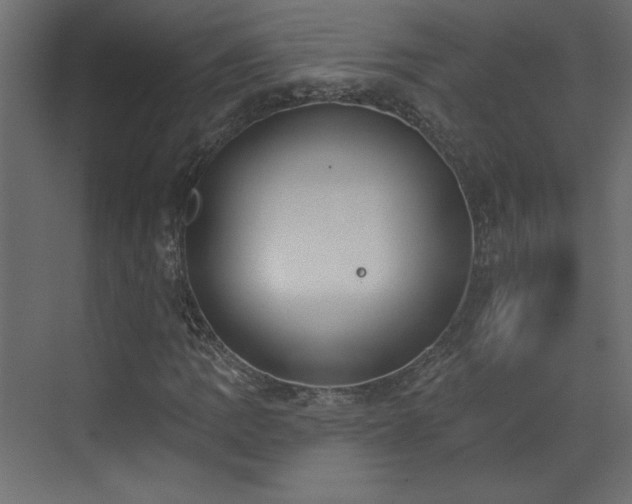 X0000073481109200607311153