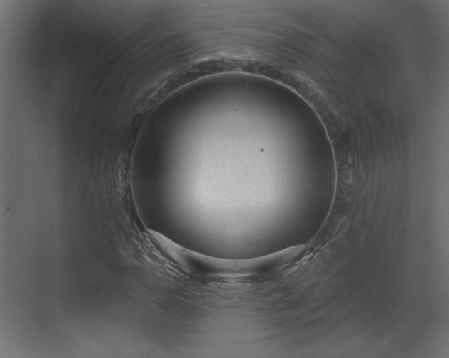 X0000073481110200607311153