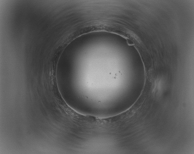 X0000073481111200607311153