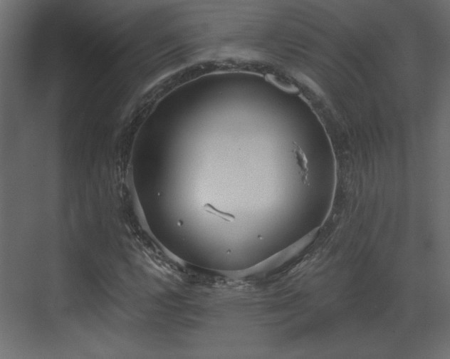 X0000073481112200607311153