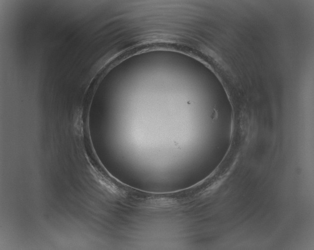 X0000073481113200607311153