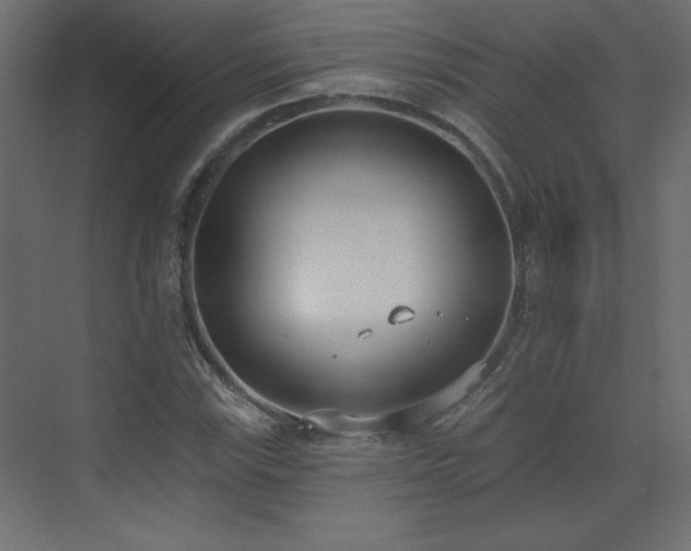 X0000073481115200607311153