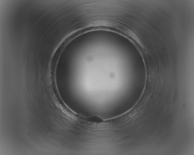 X0000073481116200607311153