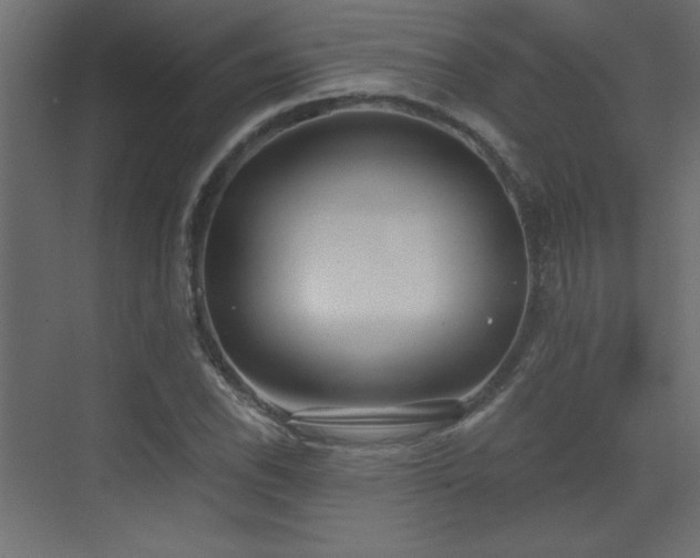 X0000073481118200607311153