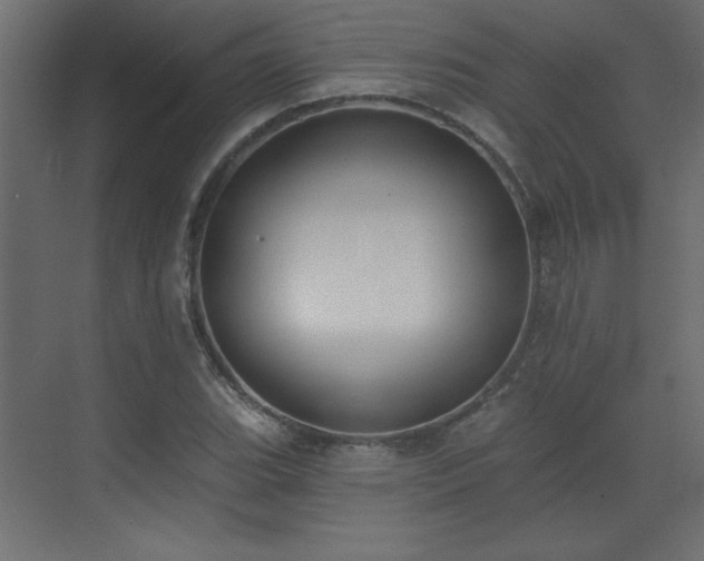 X0000073481119200607311153