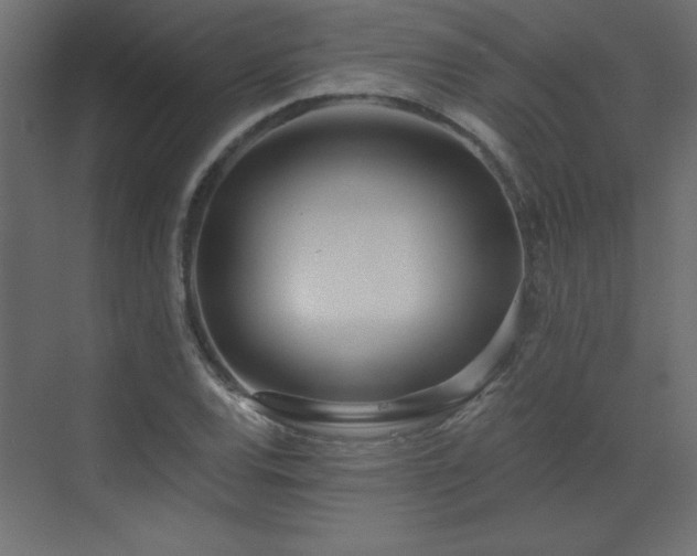 X0000073481120200607311153