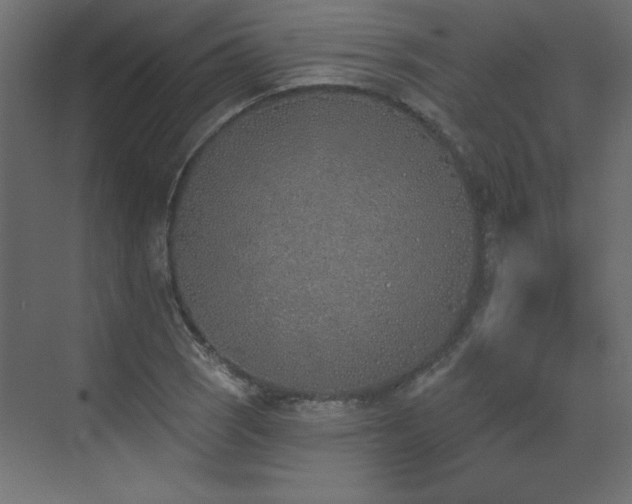 X0000073481121200607311153