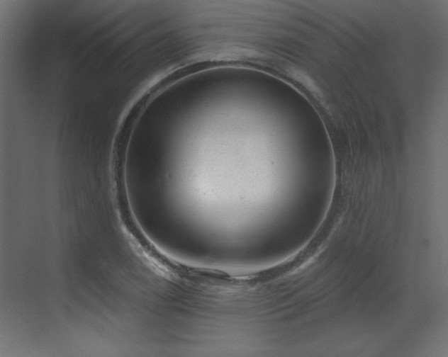 X0000073481122200607311153