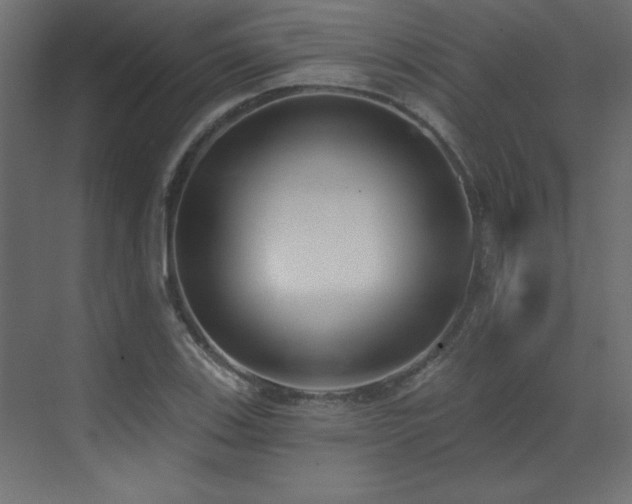 X0000073481123200607311153