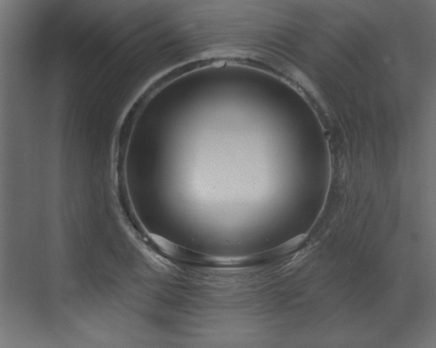 X0000073481124200607311153