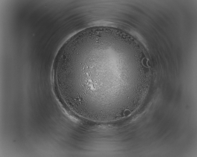 X0000073481125200607311153