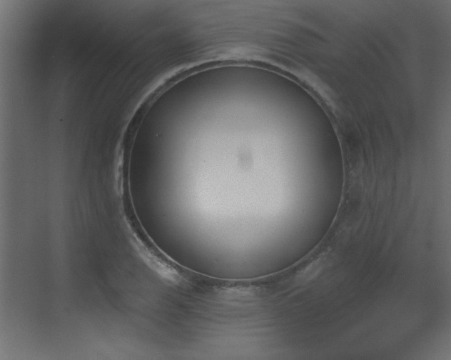 X0000073481126200607311153