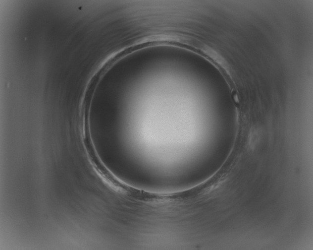 X0000073481127200607311153