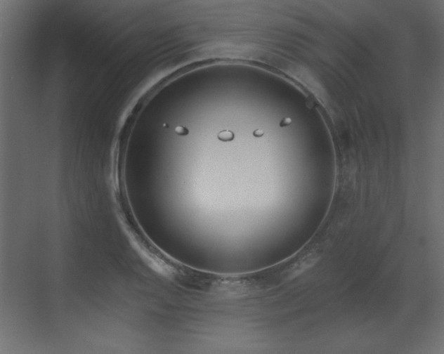 X0000073481128200607311153