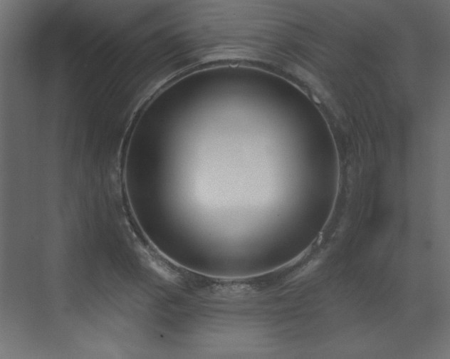 X0000073481129200607311153