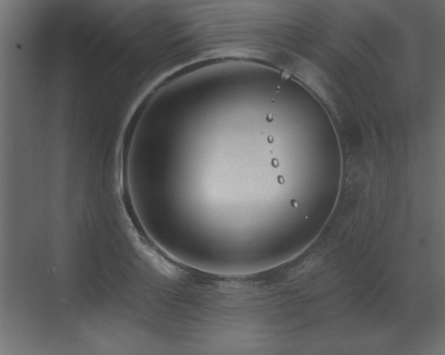 X0000073481132200607311153