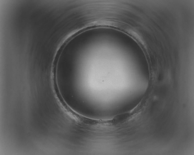 X0000073481133200607311153