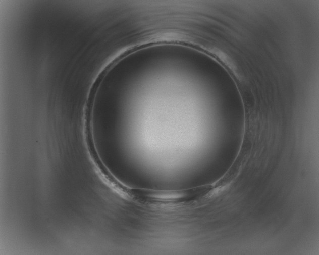 X0000073481134200607311153