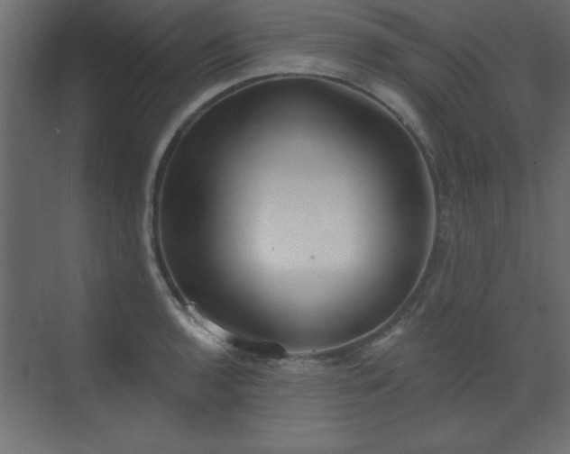 X0000073481136200607311154