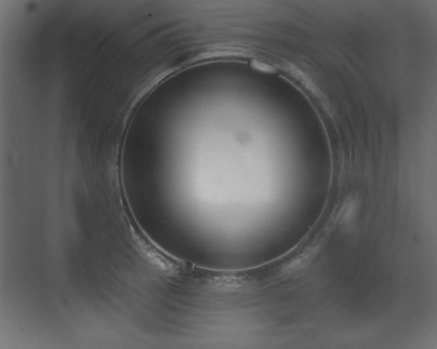 X0000073481137200607311154