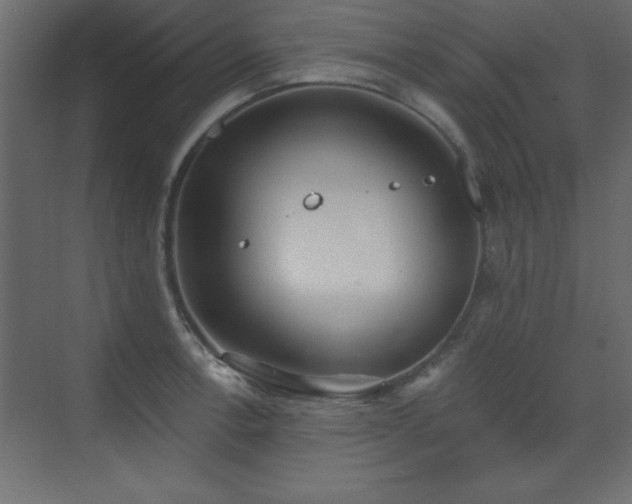 X0000073481138200607311154