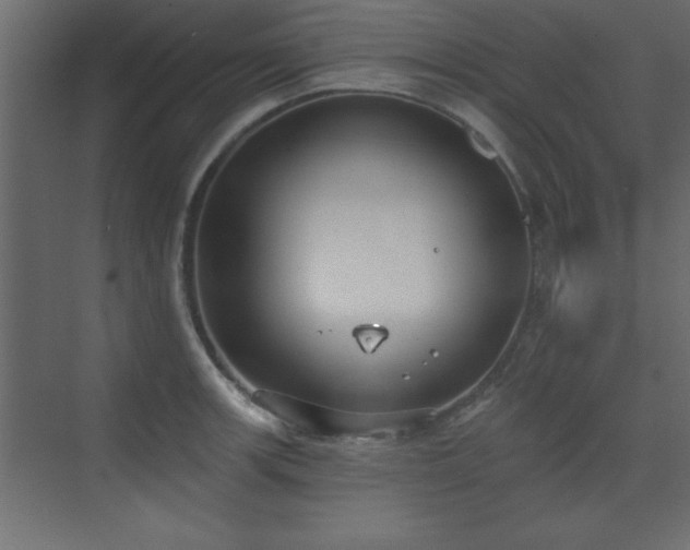 X0000073481139200607311154