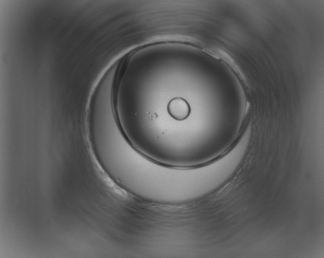 X0000073481140200607311154