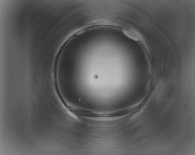 X0000073481141200607311154