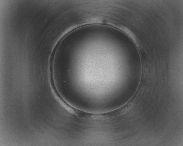 X0000073481142200607311154