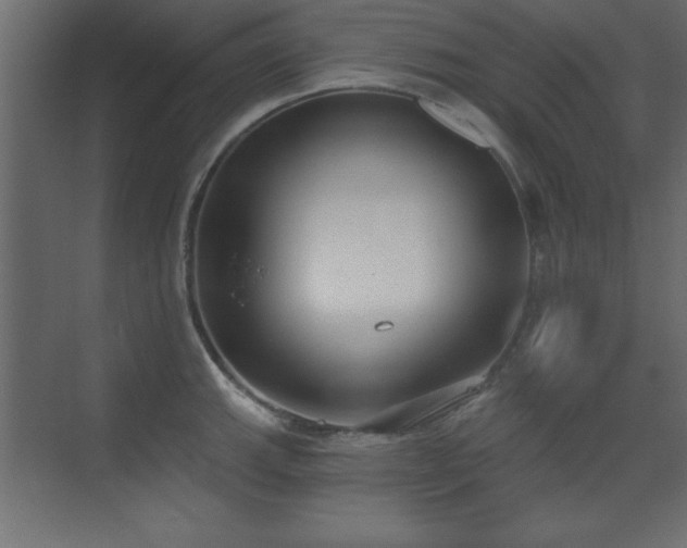 X0000073481143200607311154