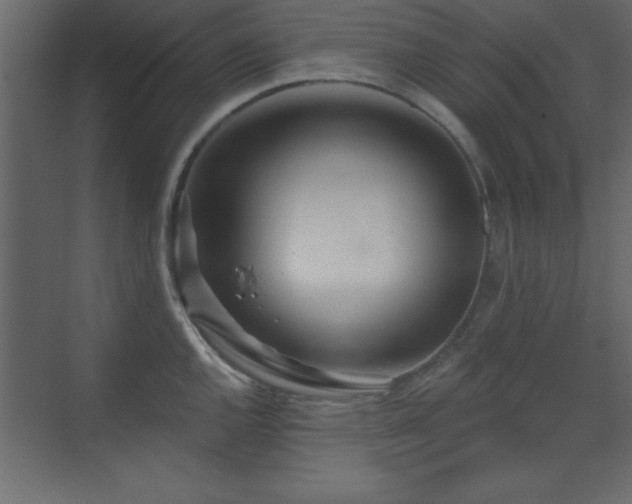 X0000073481144200607311154