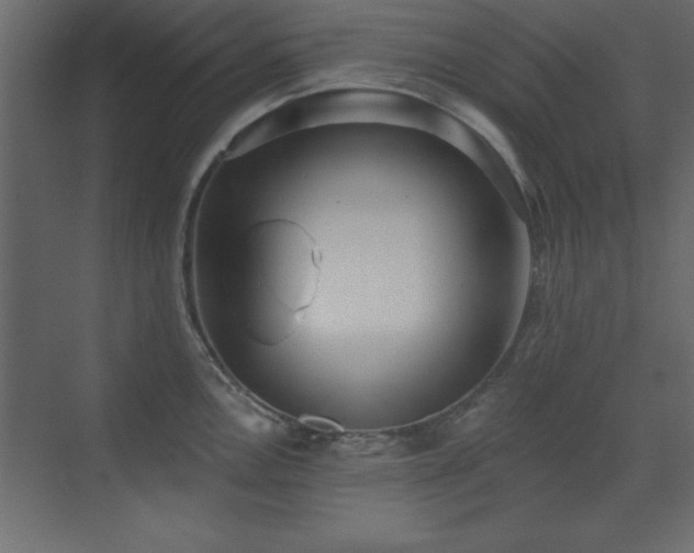 X0000073481146200607311154