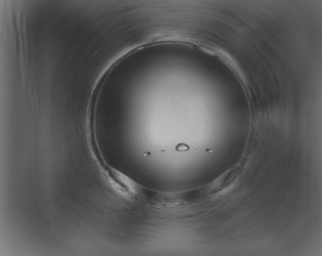 X0000073481149200607311154